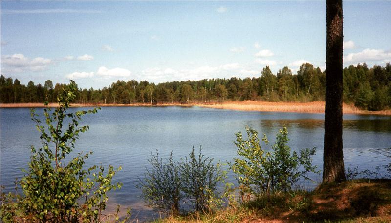 File:Kurtna maastikukaitseala_Nõmme järv.jpg